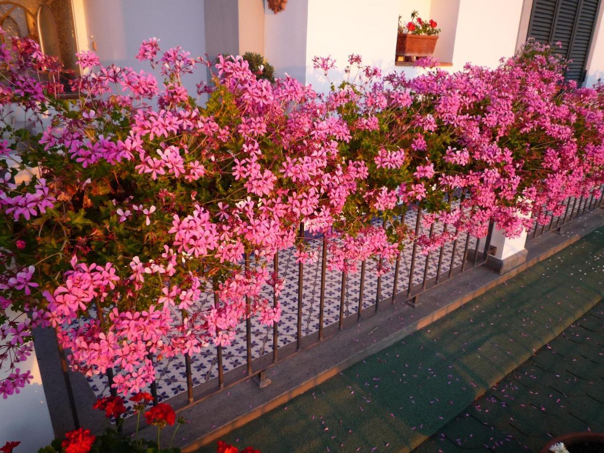 B&B Dea Fortuna Bacoli Εξωτερικό φωτογραφία